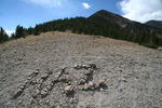 photo thumbnail #14