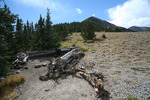 photo thumbnail #15
