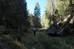 photo thumbnail #6