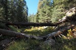 photo thumbnail #10