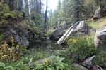 photo thumbnail #13