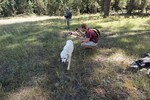 photo thumbnail #6