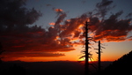 photo thumbnail #15