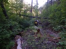 photo thumbnail #1