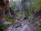 photo thumbnail #3