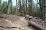 photo thumbnail #11