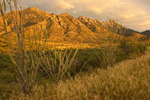 photo thumbnail #3