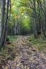 photo thumbnail #4