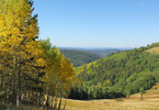 photo thumbnail #11