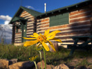 photo thumbnail #5