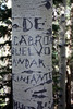 photo thumbnail #11