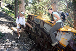 photo thumbnail #2