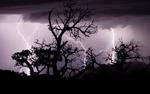 photo thumbnail #7