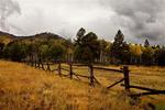 photo thumbnail #14
