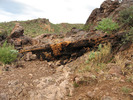 photo thumbnail #9