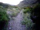 photo thumbnail #1
