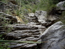 photo thumbnail #14