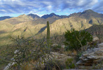 photo thumbnail #3