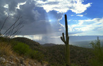 photo thumbnail #10