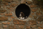 photo thumbnail #8