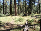 photo thumbnail #3