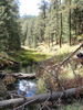 photo thumbnail #5