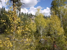 photo thumbnail #3