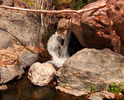 photo thumbnail #6
