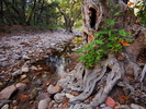 photo thumbnail #9