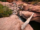 photo thumbnail #11