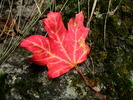 photo thumbnail #13
