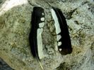 photo thumbnail #14