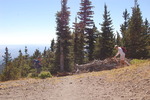 photo thumbnail #7