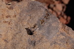 photo thumbnail #14