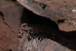 photo thumbnail #15