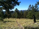 photo thumbnail #9