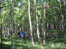 photo thumbnail #10