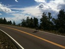 photo thumbnail #9