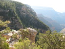 photo thumbnail #8