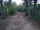 photo thumbnail #4