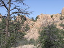 photo thumbnail #2