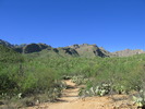 photo thumbnail #1