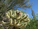 photo thumbnail #4