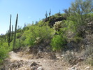 photo thumbnail #5