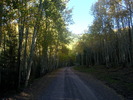photo thumbnail #2