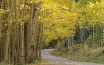 photo thumbnail #13