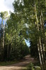 photo thumbnail #15