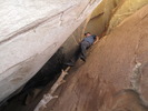 photo thumbnail #2
