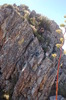 photo thumbnail #6