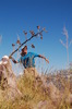 photo thumbnail #9